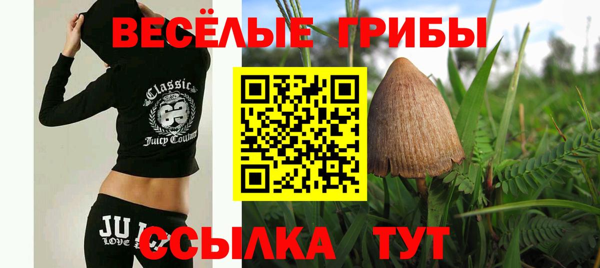 Галлюциногенные грибы прущие грибы  Вход с VPN  Усинск 